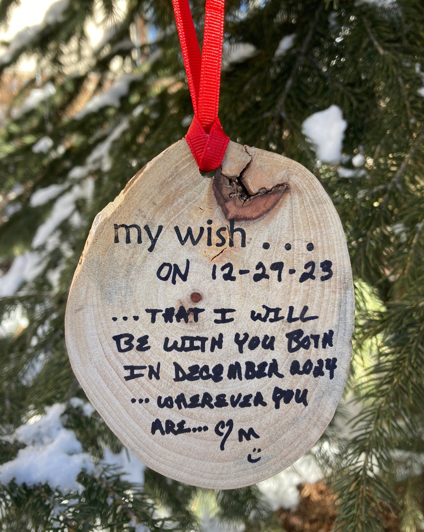 <img src="wish-a-ment-ornament-personal-handwriting-moment-captured-in-time_jpg” alt="a moms wish is captured in time and a keepsake - wish-a-ment - forever preserving a personal wish"/>