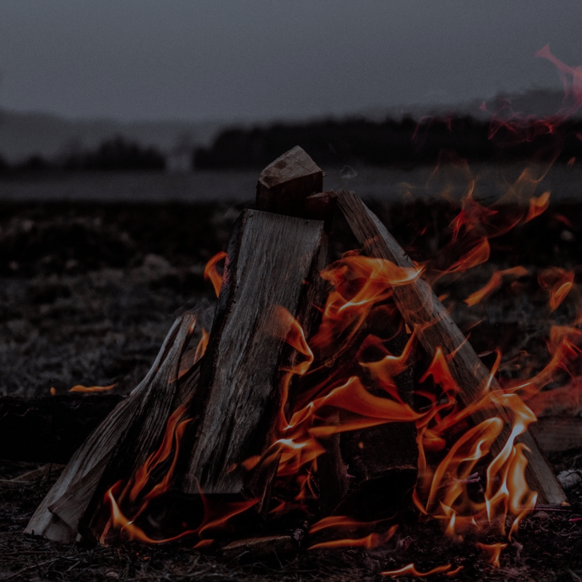 <img src="fire-outside-nature-flame-experience_jpg” alt="our story told over a campfire - wish wood - for making memories and experiences"/>